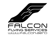 falcon